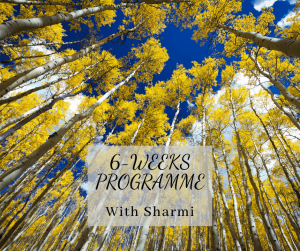 6-weeks programme