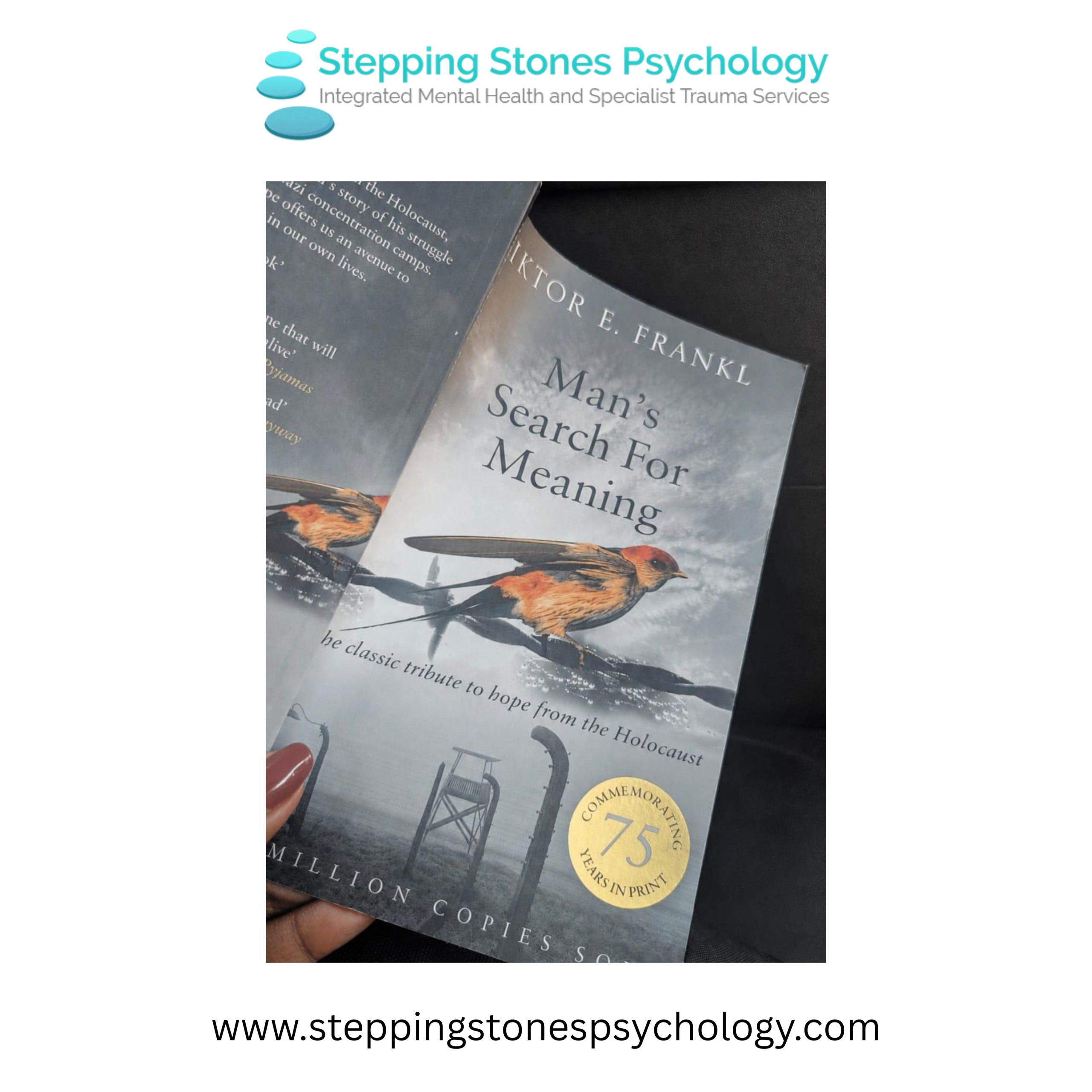 You are currently viewing Finding meaning despite living with the aftermath of trauma