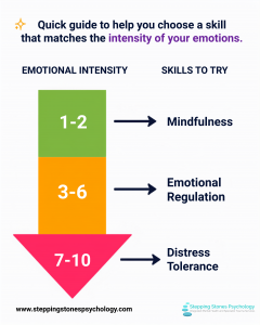 Read more about the article What is the difference between mindfulness, grounding and emotional regulation?